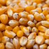 Are Corn Nuts Vegan